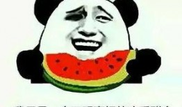 吃瓜评论吵架,吃瓜评论引发的唇枪舌剑