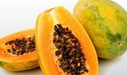 梦见吃沙瓜,探寻吃沙瓜的神秘寓意