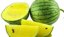 吃瓜吃瓤俗语怎么说,探寻“吃瓜吃瓤”的俗语智慧