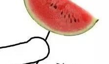 吃瓜傻西瓜,揭秘瓜界奇闻轶事