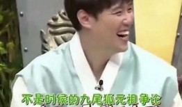 吃瓜侦探新沂,揭秘神秘事件背后的真相