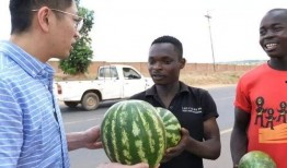 面试是吃瓜,揭秘职场“吃瓜”背后的真实故事