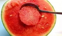 冬天怎么吃紫瓜才好,冬日暖胃紫瓜新食法