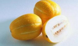 懷孕初吃胜瓜,营养美味两不误的孕期食谱分享