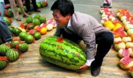 横市吃瓜比赛,一场吃瓜大赛的狂欢盛宴