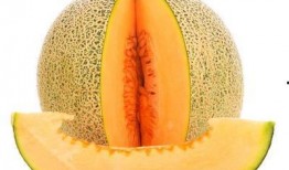 打了狂犬吃哈密瓜,一场意外的味蕾冒险