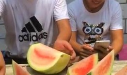 吃瓜喂食,一场别开生面的美食盛宴