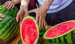 大学的吃瓜,大学校园里的“吃瓜”风云录