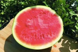 顾寻吃瓜,揭秘娱乐圈背后的那些事儿