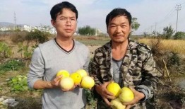 快乐吃瓜群众活动,快乐吃瓜群众狂欢盛宴