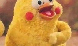 表哥吃瓜群众,揭秘娱乐圈幕后风云