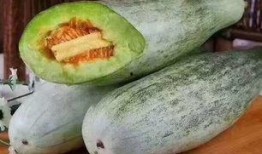 必须吃新鲜的瓜,健康生活必备