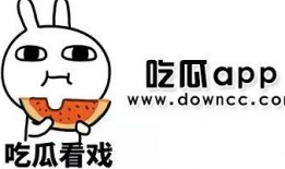 黑了吃瓜网国语,揭秘网络舆论背后的真相与争议