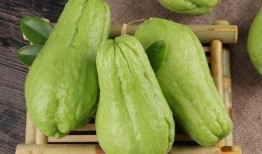 佛手瓜黄瓜可以一起吃吗,佛手瓜与黄瓜同食的适宜性探讨