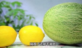 播放哈密瓜的吃法怎么吃,解锁夏日清新口感