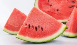 吃瓜的西瓜君,揭秘瓜界那些事儿