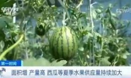 燕子的吃瓜群众,燕子视角下的吃瓜群众众生相