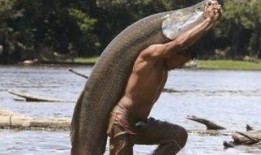 吃瓜群众臭鱼鱼,揭秘网络红人的魅力与争议