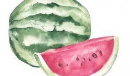 请问吃瓜得瓜是什么意思,揭秘“吃瓜得瓜”的网络流行语内涵