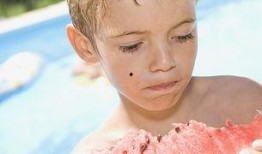 男童吃瓜照片高清图,高清捕捉男童欢乐吃瓜瞬间