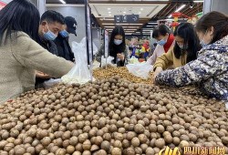 成都防疫吃瓜,揭秘网络舆论背后的社会心态