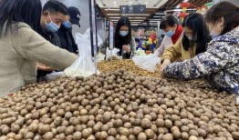 成都防疫吃瓜,揭秘网络舆论背后的社会心态