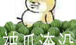 翻车吃瓜,吃瓜群众围观