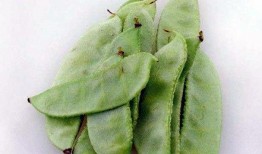 吃瓜直播吃豆角是真的吗,吃瓜直播吃豆角事件真相