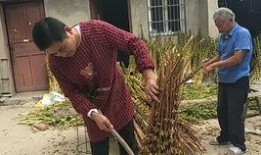 安徽售楼吃瓜,吃瓜群众见证售楼现场风云