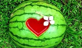 梦见吃臭赖瓜,揭秘吃臭赖瓜的神秘寓意