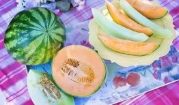 直肠腺癌能否吃哈密瓜