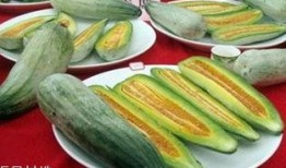 空腹吃酥瓜,美味与健康的完美邂逅