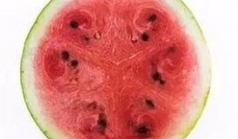 暑期将至适当吃瓜,清凉一“瓜”乐无边