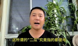 二珊说吃瓜,揭秘娱乐圈背后的那些事儿