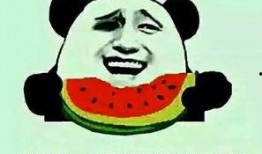 有关吃瓜的热词