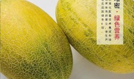 哈密吃瓜,探寻新疆哈密瓜的独特魅力