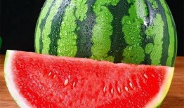 吃瓜真的假的,是真是假，一探究竟