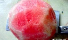 果老 扒皮 吃瓜