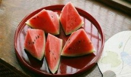 旅游吃瓜事件,一场意外引发的全民热议