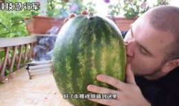 吃瓜视频国外,揭秘国外短视频平台的趣味与争议