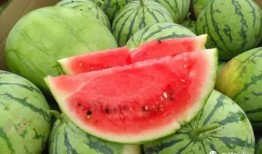 怎么快速吃瓜视频,快速吃瓜视频攻略