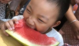 姿态吃瓜视频全集,揭秘娱乐圈幕后风云