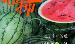 为何 都爱 吃瓜,为何全民皆爱“吃瓜”现象背后的心理动因