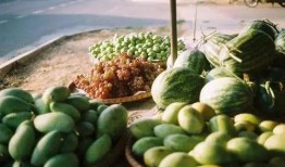 吃瓜群众板蓝根