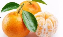 吃瓜看蜜橘,吃瓜乐趣无限