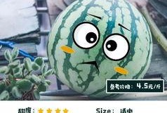 搞笑吃瓜测评,带你领略美食界的欢乐盛宴