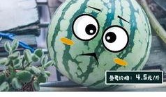 搞笑吃瓜测评,带你领略美食界的欢乐盛宴